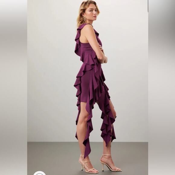 SIMKHAI Wilda Ruffle Dress - Picture 2 of 10